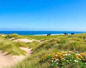 Natur und Parks auf Sable Island, Nova Scotia