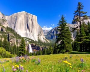 Naturwunder im Yosemite Nationalpark, Kalifornien