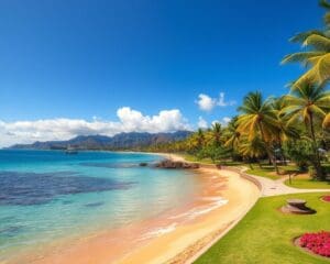 Strände und Parks in Honolulu, Hawaii