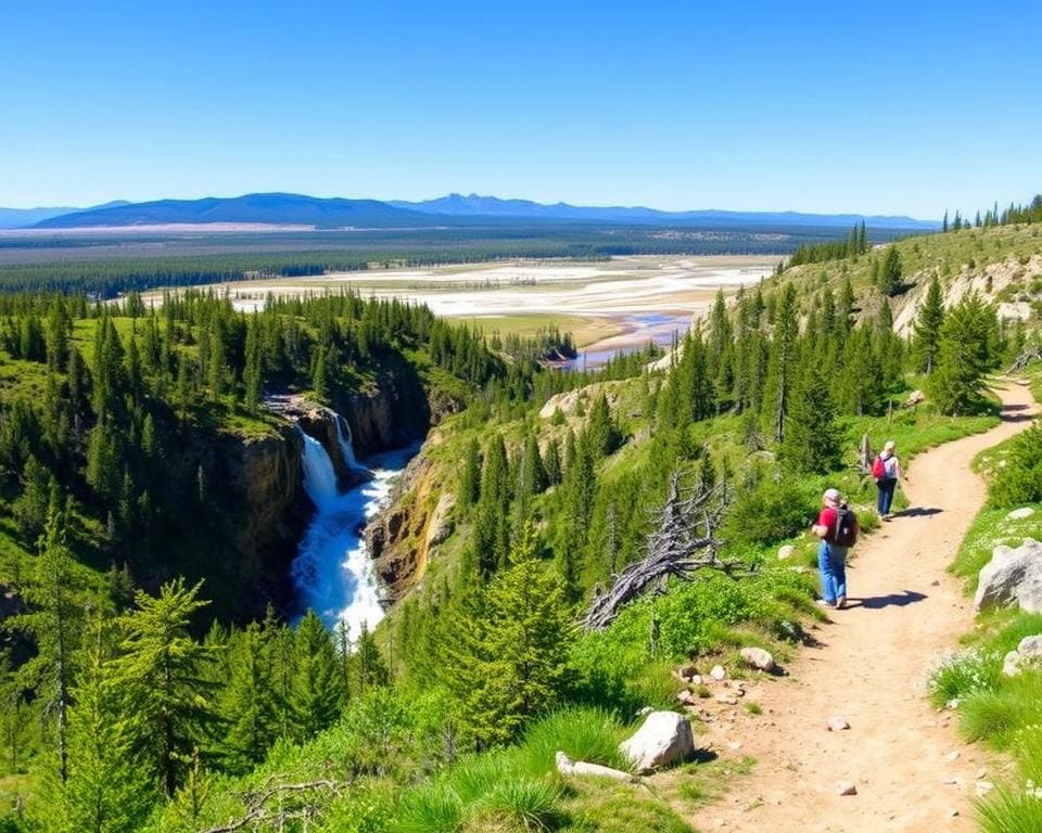 Wanderungen im Yellowstone