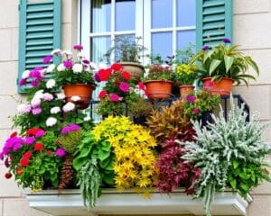 Pflanzen für jede Jahreszeit: Der Balkon im Wandel