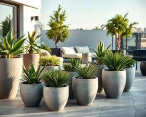 Pflanzgefäße aus Beton: Moderne Akzente für Ihre Terrasse