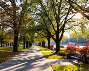 Stadtparks in Berlin: Ruhe in der Großstadt