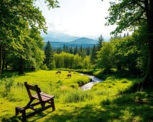 Warum ist Natur so wichtig für das Wohlbefinden?
